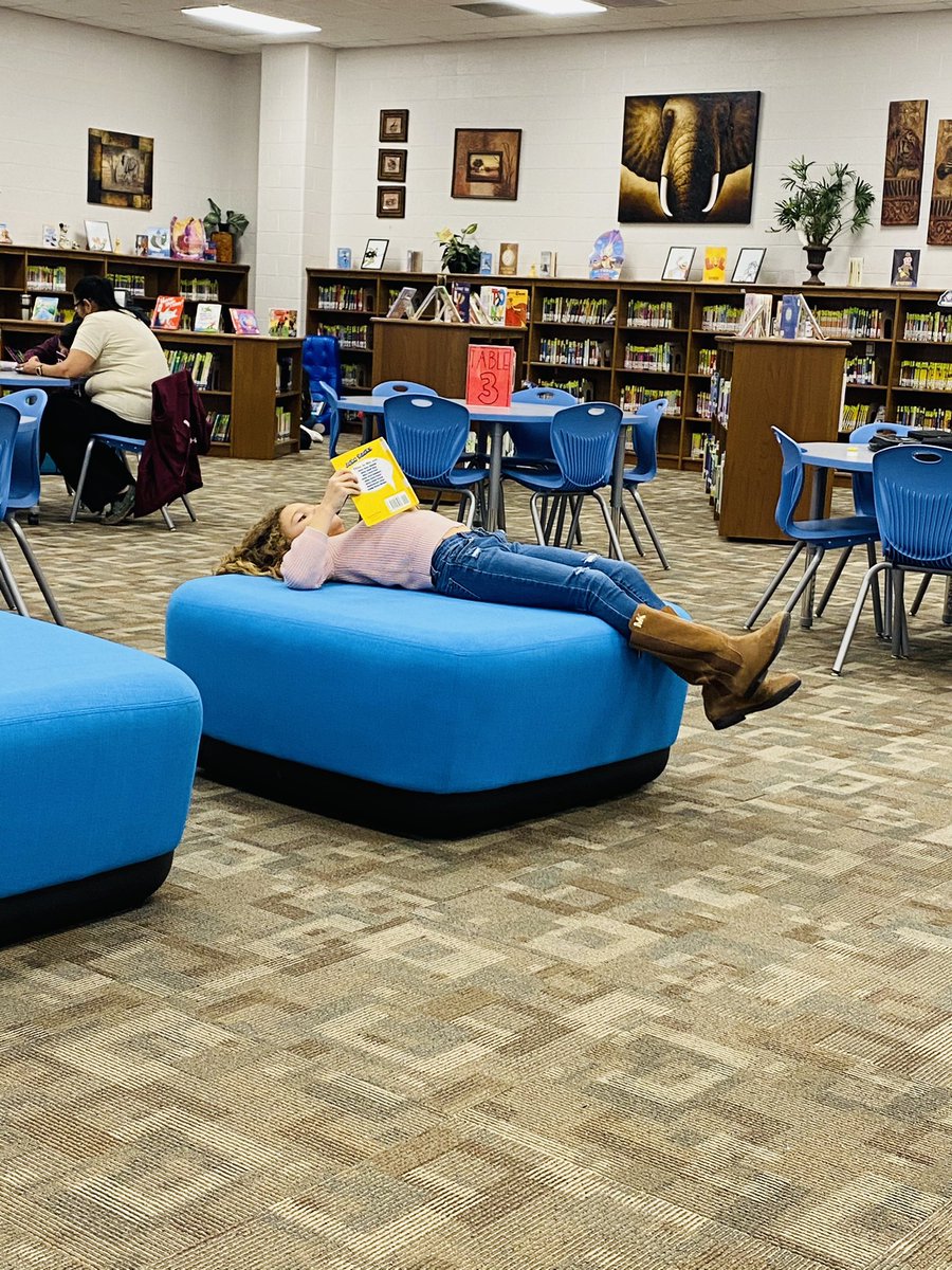 TaraJacob5's tweet photo. Students at FNE are excited to cozy up with a good book/eBook  on their newly installed library furniture. This is great way to add some excitement to their world of reading! https://t.co/yrle4tnD2R