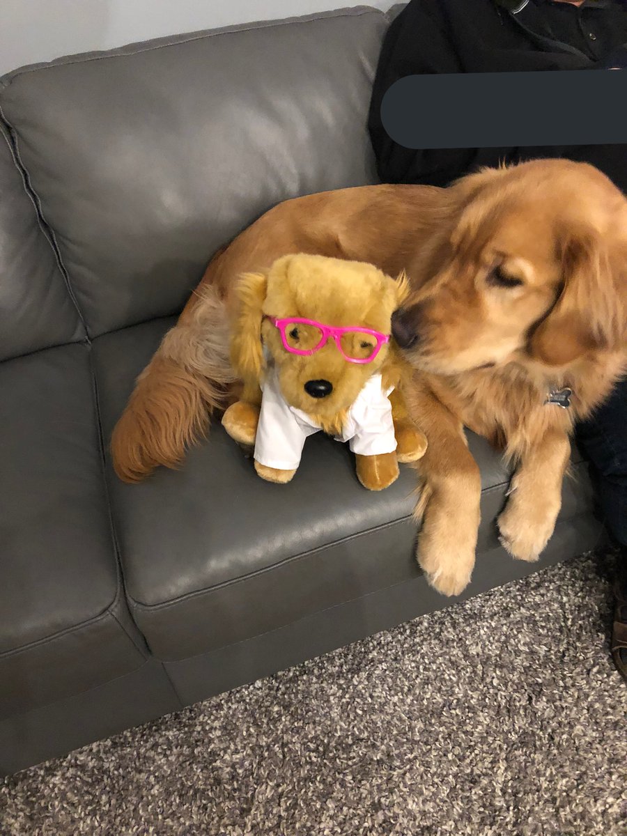 Little Beaks and I have a serious message. It’s #BellLetsTalk  Day. There’s a lot of stress in the world and some days are harder and can feel lonely. You are never alone. Never be afraid to ask for help because it’s ok to not to be ok. We are here for you. ❤️ #dogsoftwitter