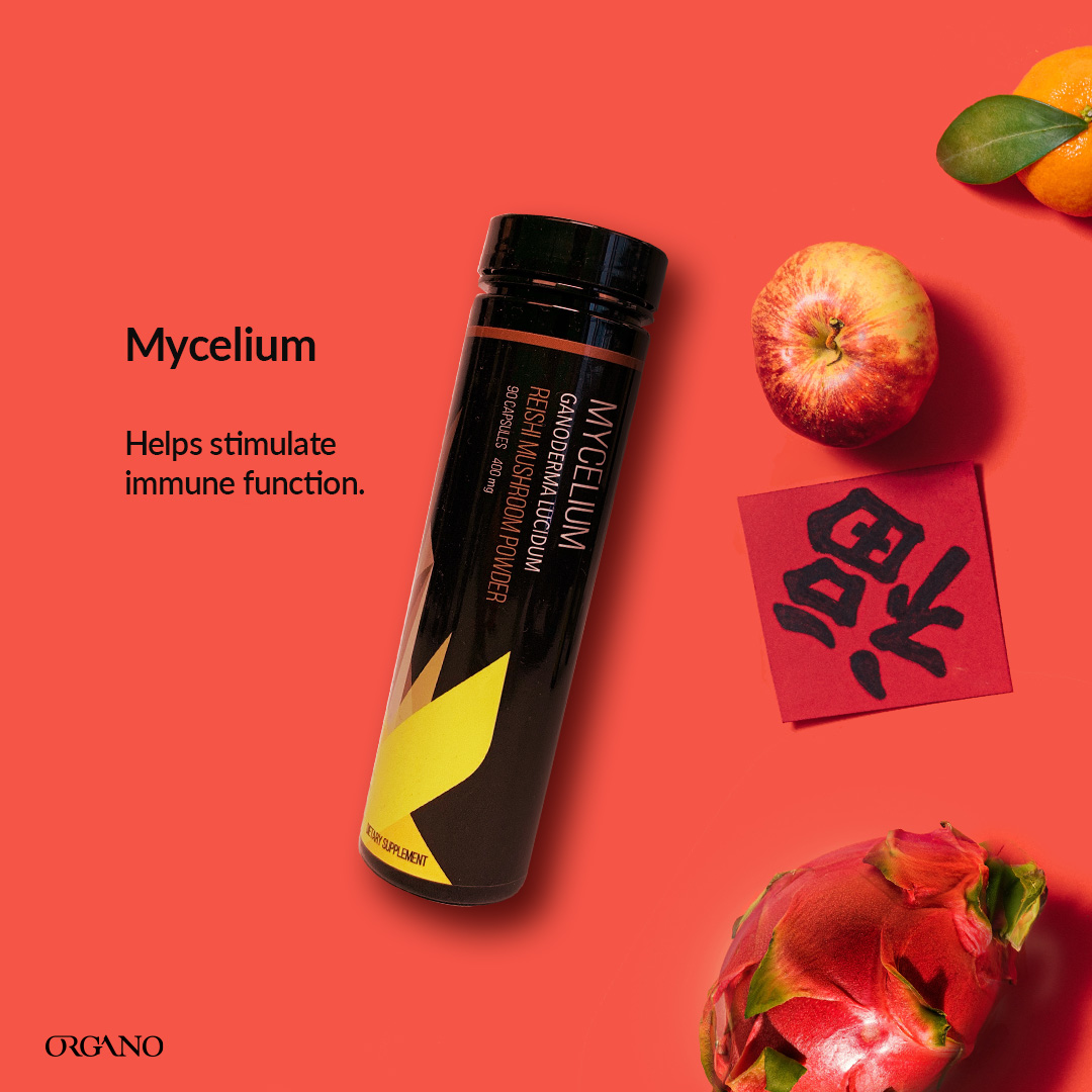 OrganoGold's tweet photo. Feel more vital by adding Mycelium to your daily routine.
Harvested from an 18-day-old Ganoderma lucidum mushroom, known for its antioxidant properties, as well as the polysaccharide Beta-glucan, which can help stimulate immune function.
#X4ever https://t.co/GojAoQew3B