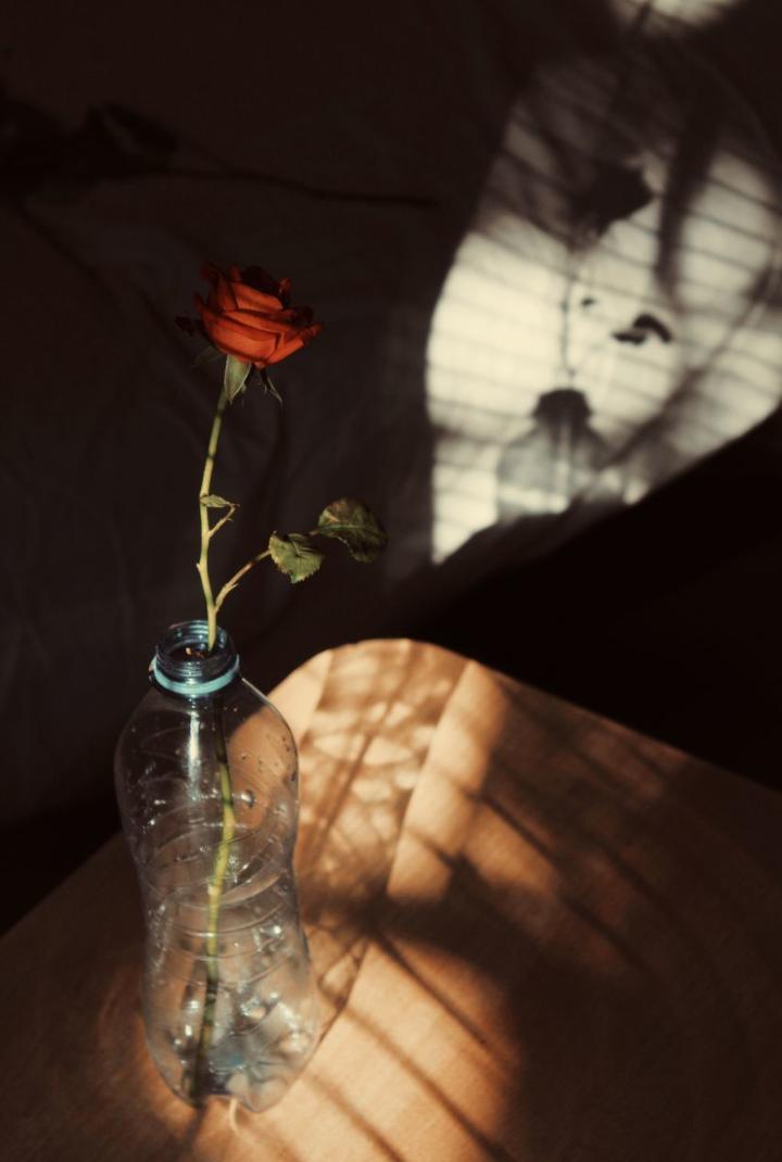 plurfiles's tweet photo. Hello Photographers and people who just like taking picture w/ their phone, show me your last flower shot.
↗️ Share 
🔄 Retweet 

I'll start w/ mine:

#NFTCommunity #nftphotography #filmcolor #flowers #roses https://t.co/2HDb7DiaRM