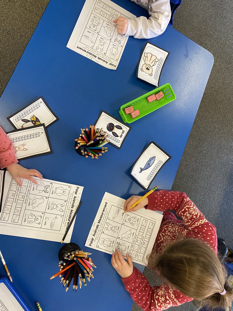 Developing our number sense by measuring height and length then determining which polar animal is the tallest and which one is the longest. Nice work! 😊👍🏻<a href="/CoveSchoolOwls/">Cove Elementary School</a> @beverly_schools