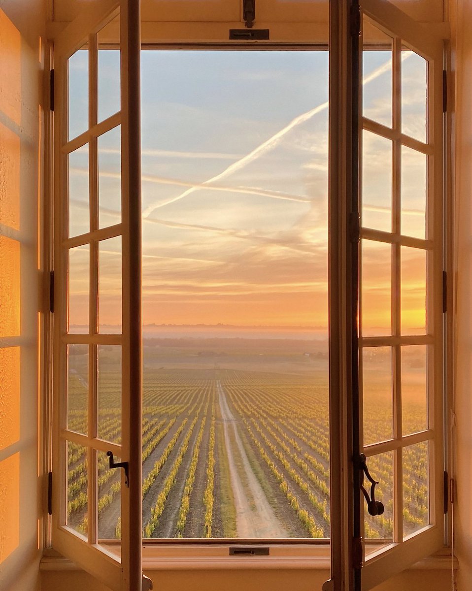 A new dawn.

#Yquem #chateaudYquem #chateauYquem #lightsofYquem #miracleofnature #myth #universal #unique #unforgettable #bucketlist #onceinalifetime #wine #finewine #winelover
Enjoy responsibly.