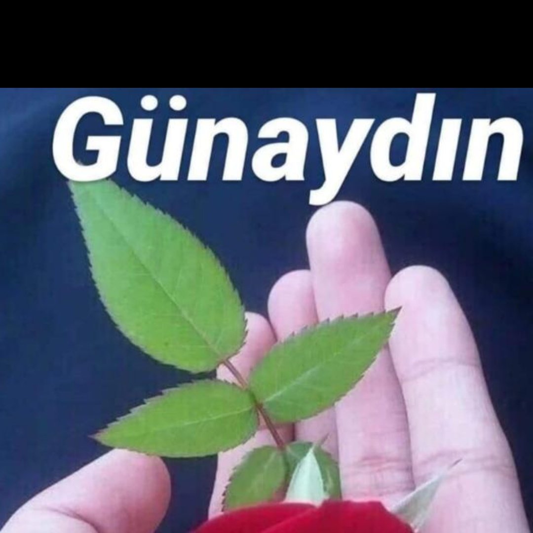 #YeniProfilResmi