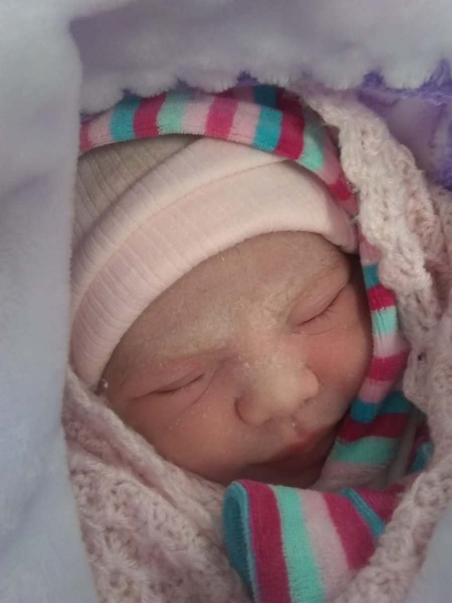 bricalderazzi05's tweet photo. Bienvenida mi bebé😍❤ https://t.co/boRyXLVnl6