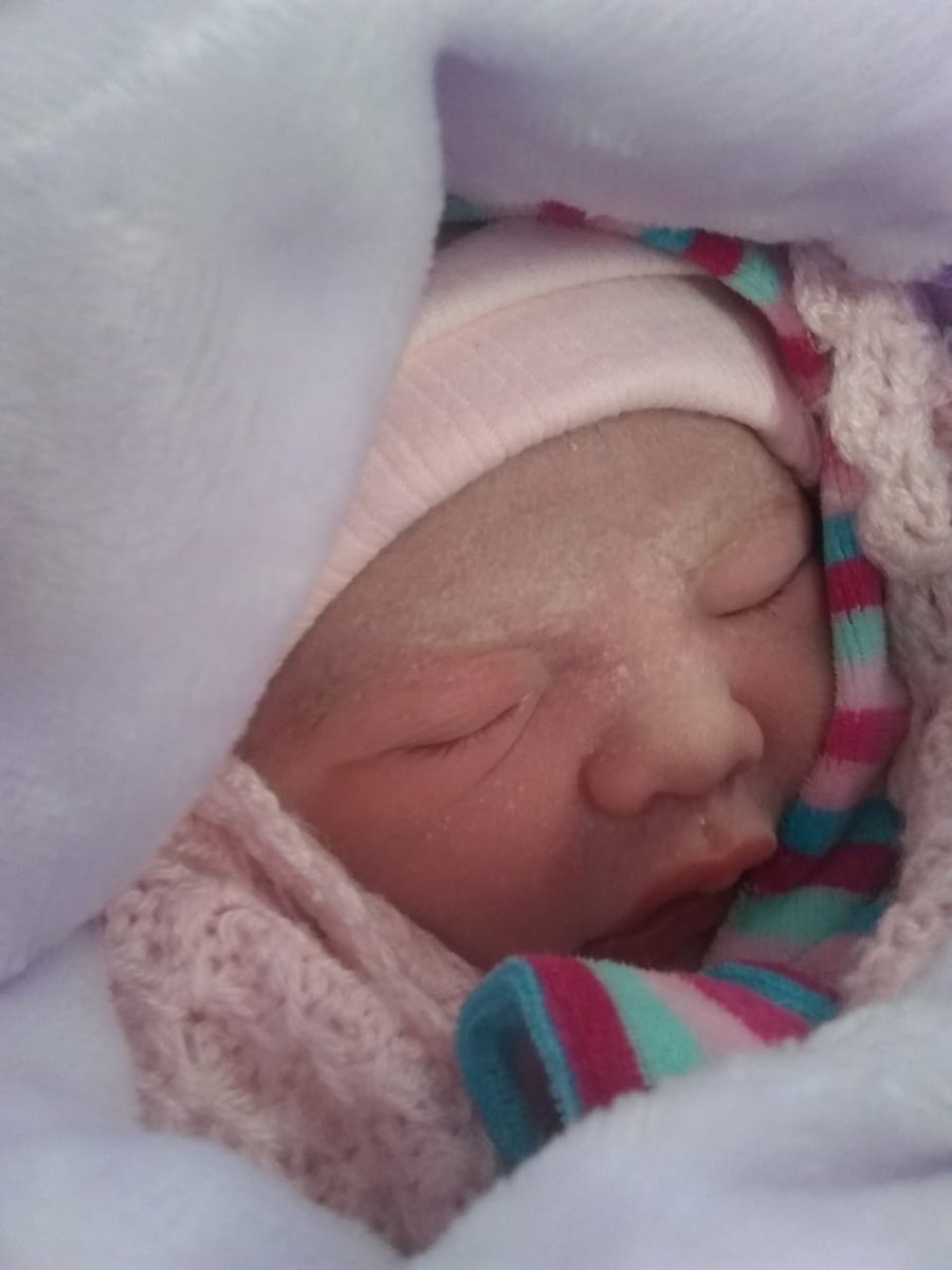 bricalderazzi05's tweet photo. Bienvenida mi bebé😍❤ https://t.co/boRyXLVnl6