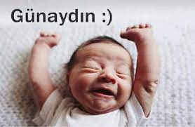 Gökhan Demir 🏳️‍🌈 🌈 🏳️‍🌈 (@lgbtgokhan) on Twitter photo 