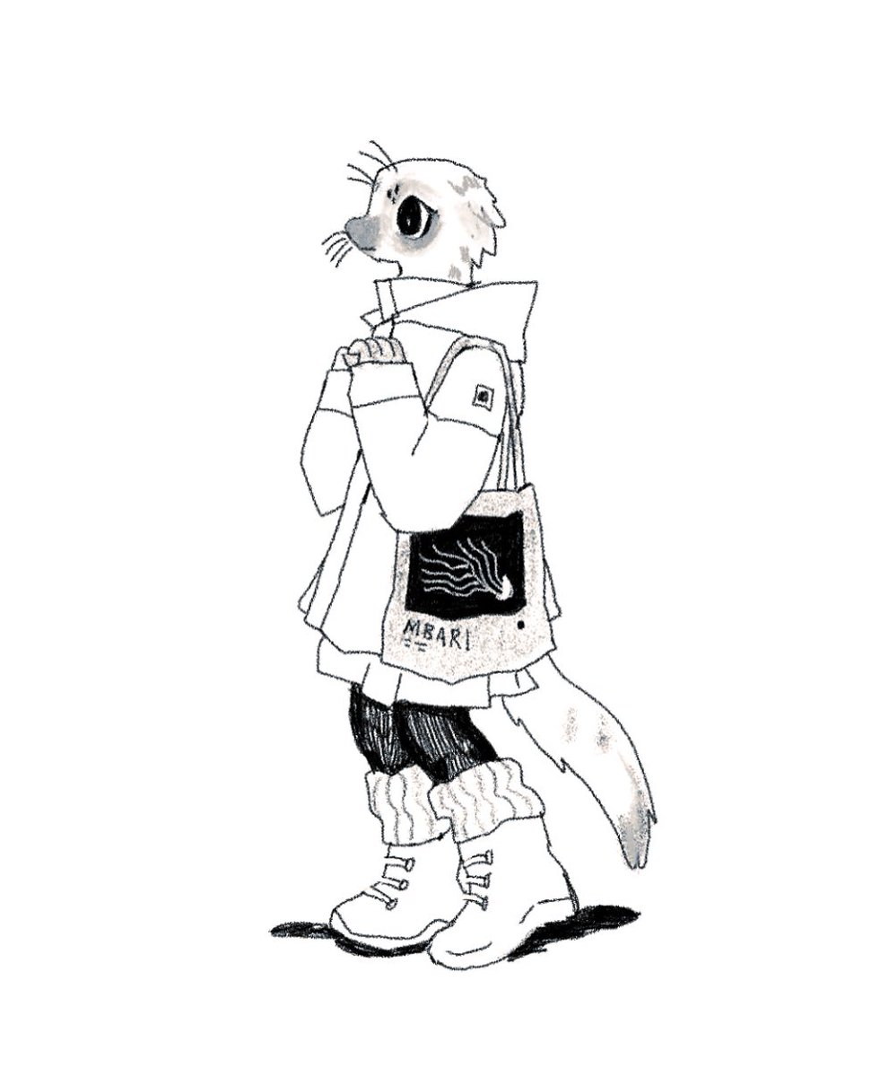 student marine biologist seal