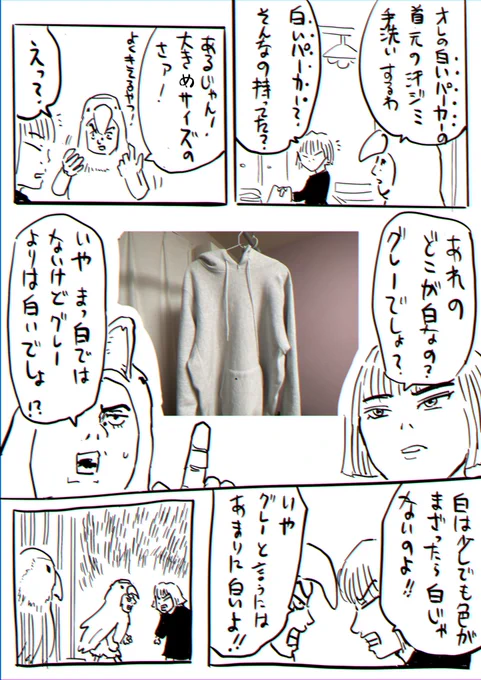 問いのりさこ40 「今日の言い争い」 