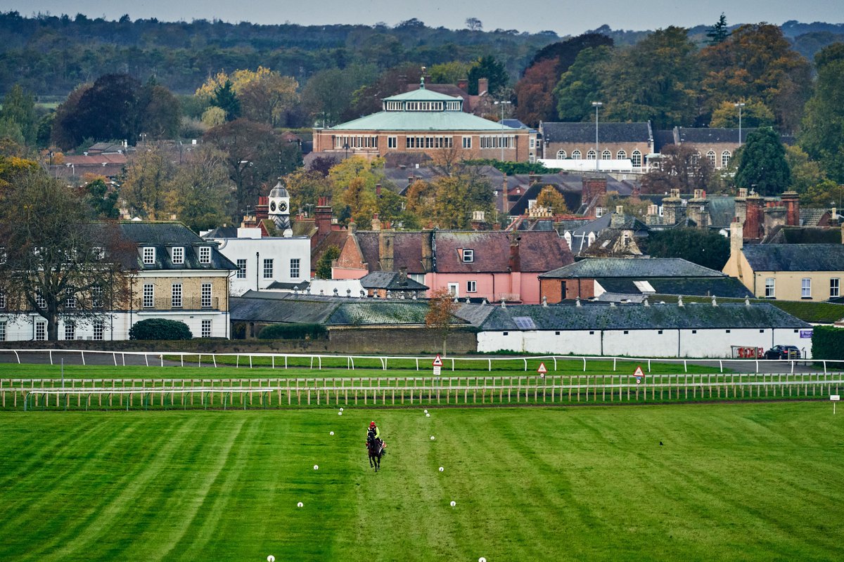 We appreciate that having outdoor space to exercise is important for physical and mental health and wellbeing. However, in the interest of safety, please can we remind local residents to refrain from using the Heath before 1pm whilst racehorses are exercising.
#ThankYou