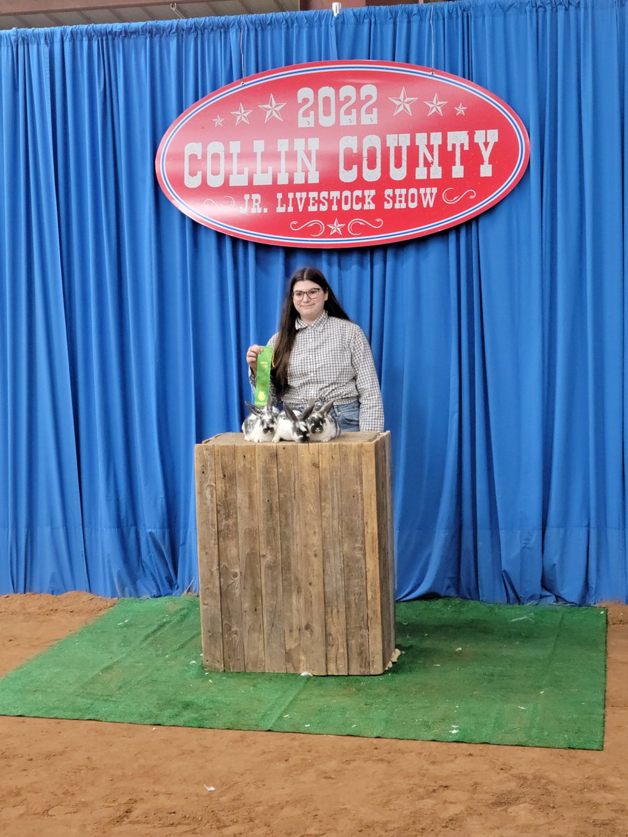 library_clark's tweet photo. Mia Robertson competed in the Market Rabbit Show and placed 11th overall in the lightweight division! 🐰🏅 @clarkhscougars @Plano_Schools #ffa #rabbits https://t.co/mVUXVelcR4