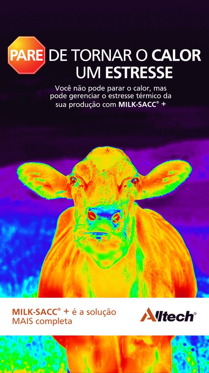 elizeudv's tweet photo. https://t.co/SRmLnpmGL9
