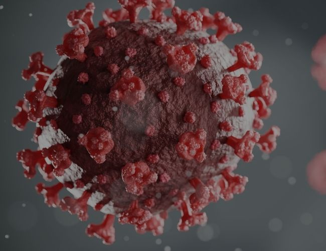CueshTem's tweet photo. @American_Heart  con base  a informes epidemiológicos y hallazgos científicos, publico el 24.01.22  "Guía provisional 2022 para proveedores de atención médica sobre soporte vital cardiovascular básico y avanzado en adultos, niños y neonatos sospecho/confirmado  #COVID -19" https://t.co/OVIVUI5HM9