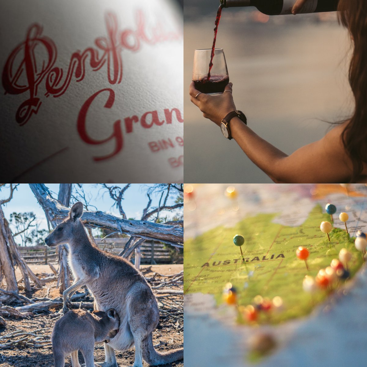 CadmanFineWines's tweet photo. Celebrate Australia Day with Cadman Fine Wines and discover our premium selection of Australian Wines.

Our list boasts the finest Australian wines, including iconic labels such as Penfolds, Torbreck, Two Hands, Jim Barry, d'Arenberg, and Clarendon Hills.
https://t.co/umAQShbs56 https://t.co/6EF9TNT99U