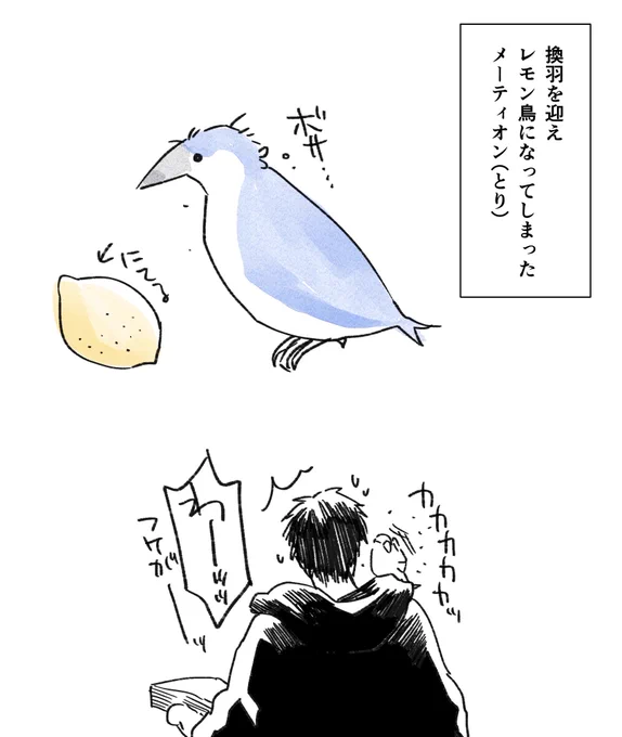 鳥飼いとして描いておかねばならないエルピス組 