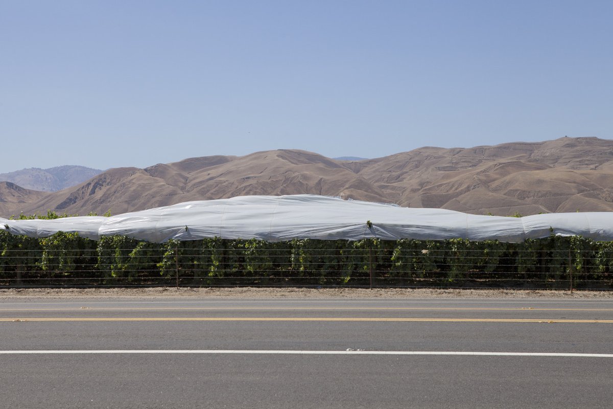 archillect's tweet image. 