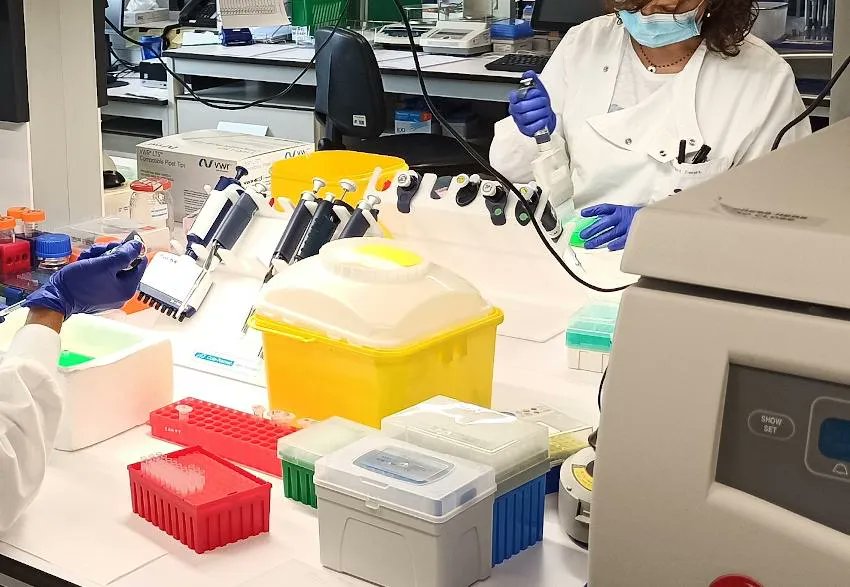 #PublicaSalutIB Avaluació externa de la qualitat dels índexs sèrics: Programa espanyol SEQC-ML buff.ly/3KquGpu <a href="/Analisis_HUSE/">Servicio de Análisis Clínicos</a> buff.ly/3fENzqx <a href="/SonEspases/">HU Son Espases</a>