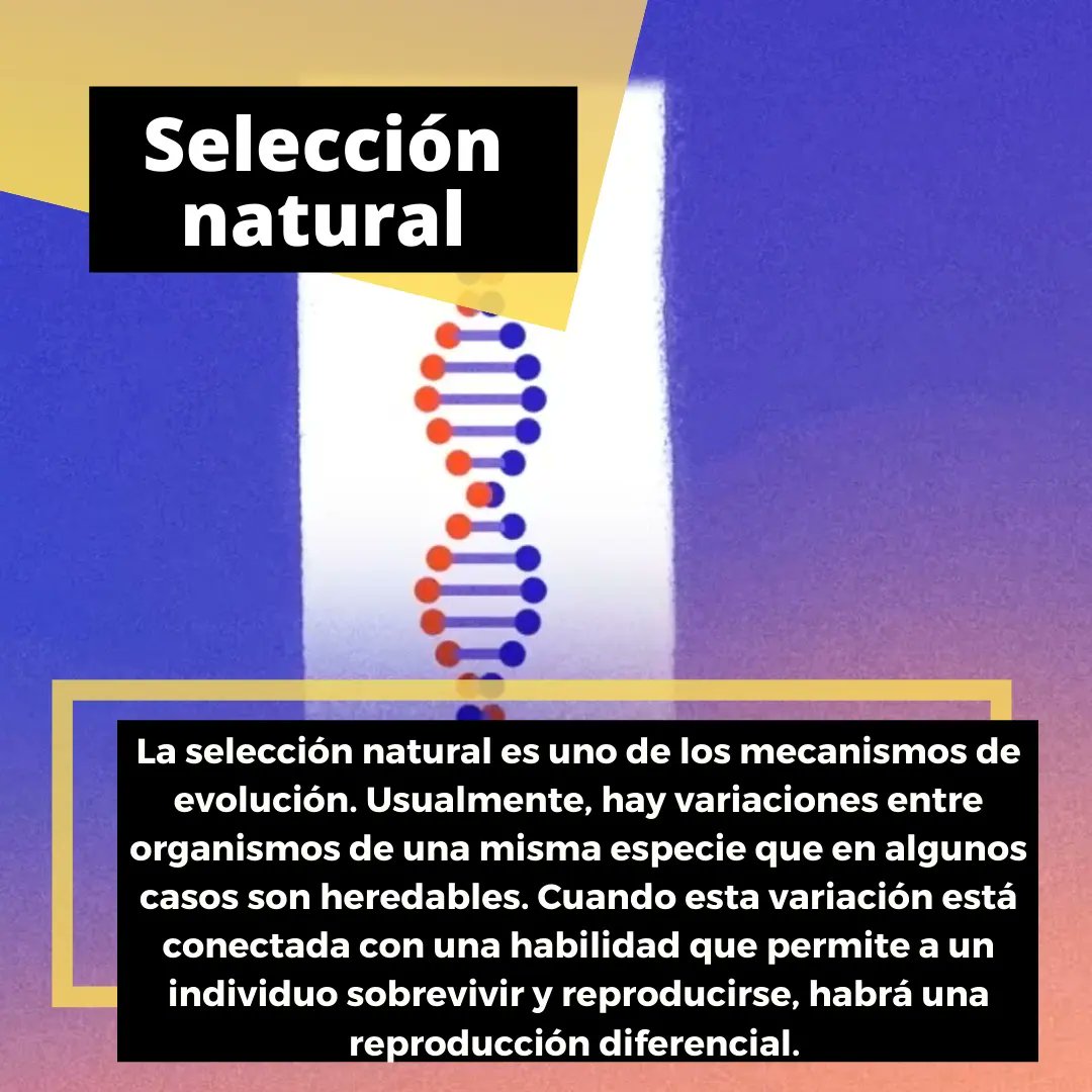 Enterarse tweet media