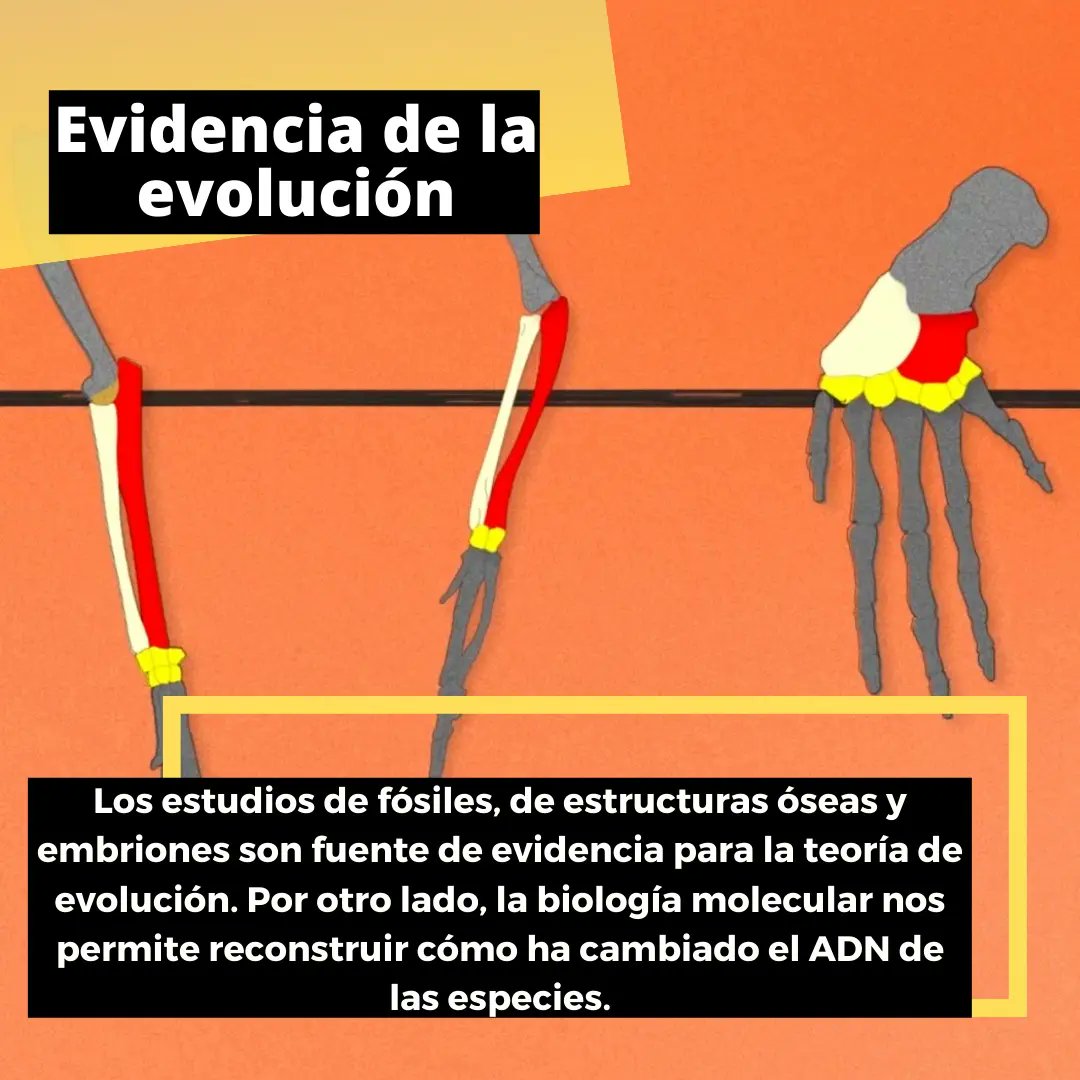 Enterarse tweet media