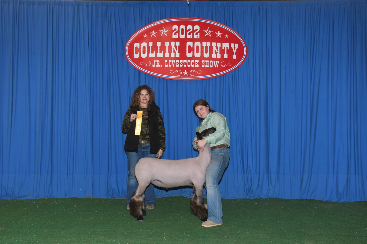 library_clark's tweet photo. Zoey Smith competed in the Breeding Sheep Show and won Reserve Grand Champion overall with her ewe! She also competed in the Market Lamb Show, winning 2nd with her Southdown lamb and 5th with her Medium Wool lamb! 🐑🏅 @clarkhscougars @planoisd #ffa #ewe #lamb https://t.co/uSUnHrAO3n