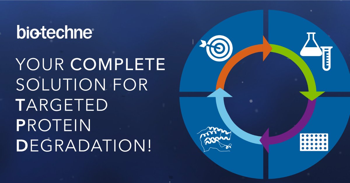 biotechne's tweet image. Our risk-reducing, cost-effective and time-saving workflow solution is here to support your research from beginning to end. Find out more how you can harness our expertise in TPD here: bit.ly/33TLZPj 
#PROTACs #targetvalidation #TPD