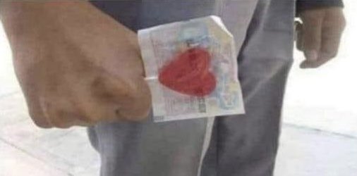 digaloconflores tweet media