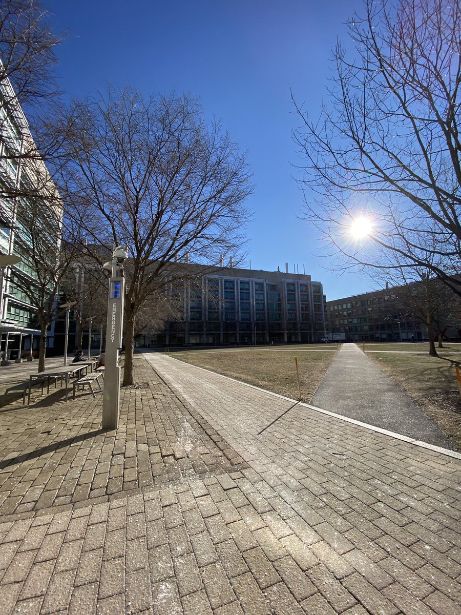mariaullo's tweet photo. Exciting week starting my postdoc in the @LindsayCase19 Lab! @MITBiology https://t.co/vhYSAXb4qq