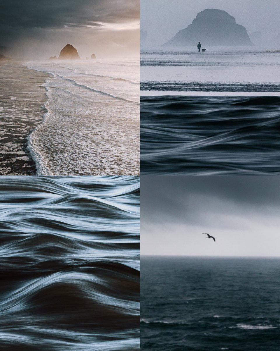 Some Oregon coast mooooood. #gm I’m so tired again.