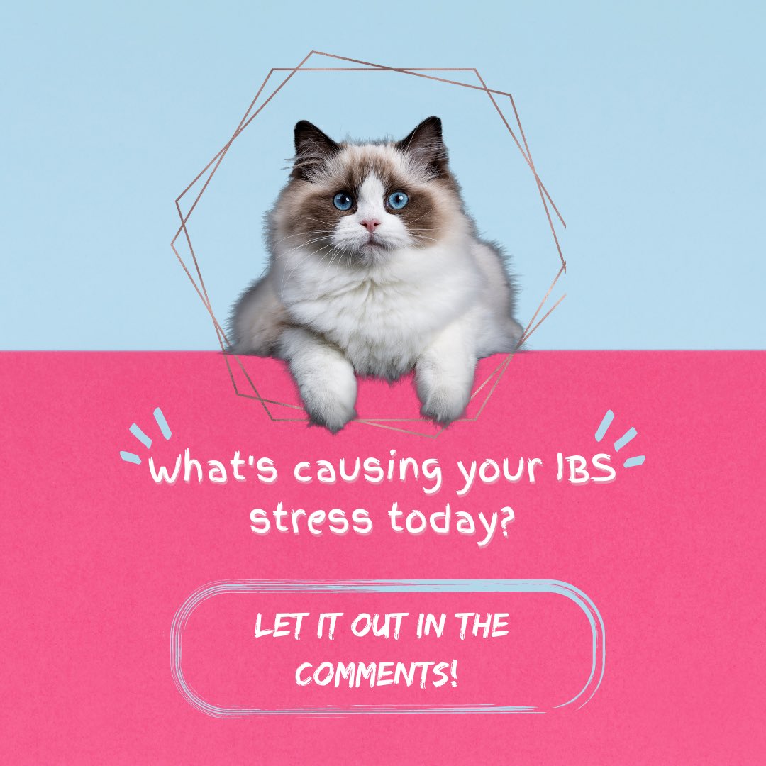 One of the best ways to decrease your stress is to share what’s stressing you out! 

What’s stressing me out is the lack of truly GF options in my city 😞 

#ibs #ibsawareness #ibswarrior #ibslife #ibsstruggles #gutbrainaxis #gutbrainconnection #gutbrain #bellletstalk #letstalk