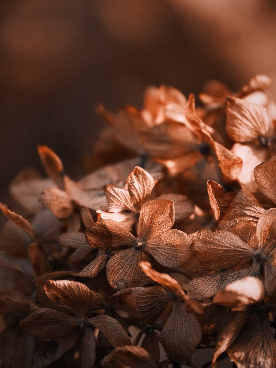 Matty_Andres tweet media