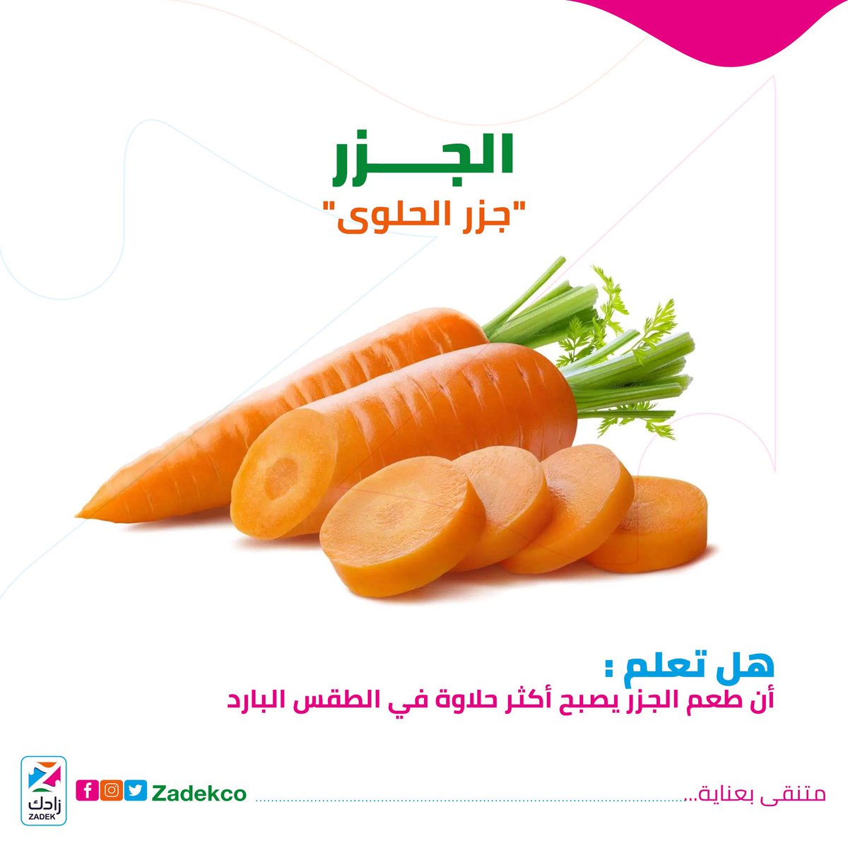 ZadekCo's tweet photo. تؤدي الظروف الباردة إلى قيام الجزر بتحويل النشويات المخزنة إلى سكريات للحفاظ على الماء في خلاياها من التجمد. https://t.co/QheVENmOye