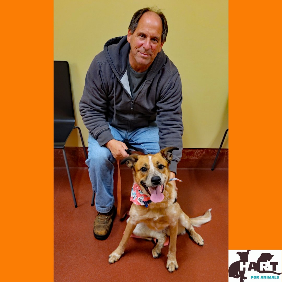 HARTforAnimals's tweet image. Zelda links up with a great family!
Zelda found her new furever home. Now she has a life full of hiking, swimming, and camping to look forward to. We’re so happy for all involved!
#rescuedog  #adoptdontshop #mdrescuedog #rescuedogsofmaryland  #dogsofmaryland #deepcreeklake