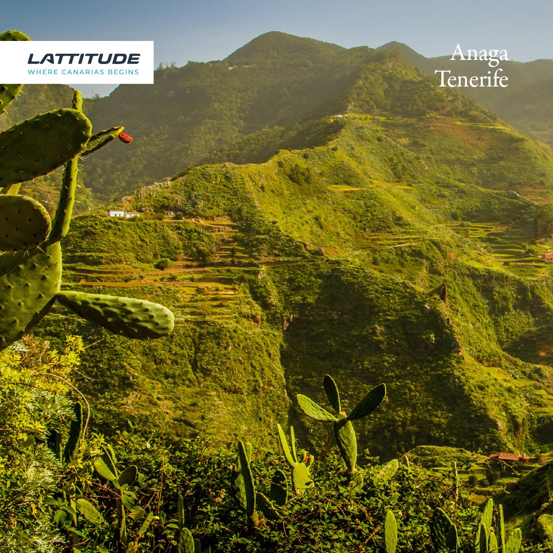 El macizo de Anaga es un referente del turismo sostenible en Tenerife. Sus frondosos bosques, los numerosos roques, sus pueblos y bancales esculpidos en los barrancos regalan a quienes lo visitan unas vistas panorámicas únicas.🌿💚

#Tenerife #MacizoDeAnaga #Anaga