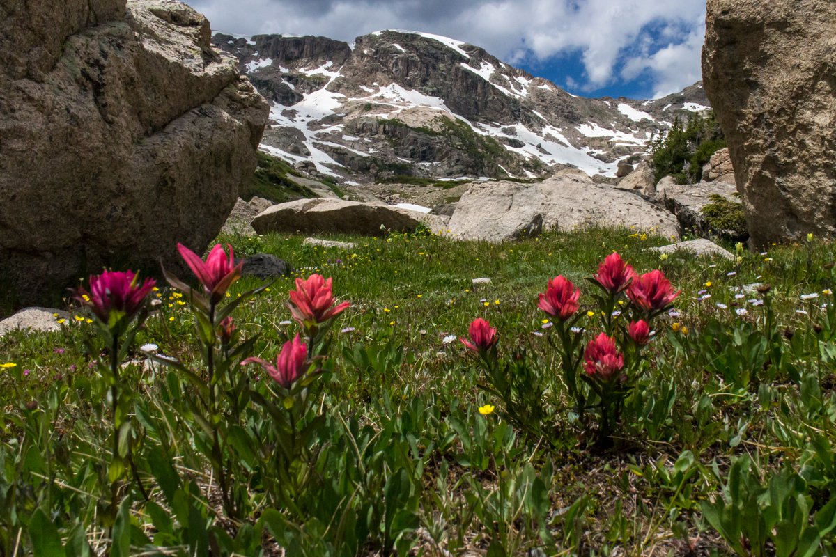RockyNPS's tweet image. Join us in celebrating #RMNP's Birthday! Rocky is 107 years old today!
On January 26, 1915, President Woodrow Wilson signed the enabling legislation that established Rocky Mountain National Park as our nation's 10th national park. What do you love about Rocky? NPS Photo/Westfall
