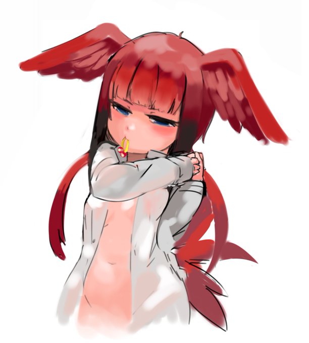 ショウジョウトキ(彼シャツのすがた) 