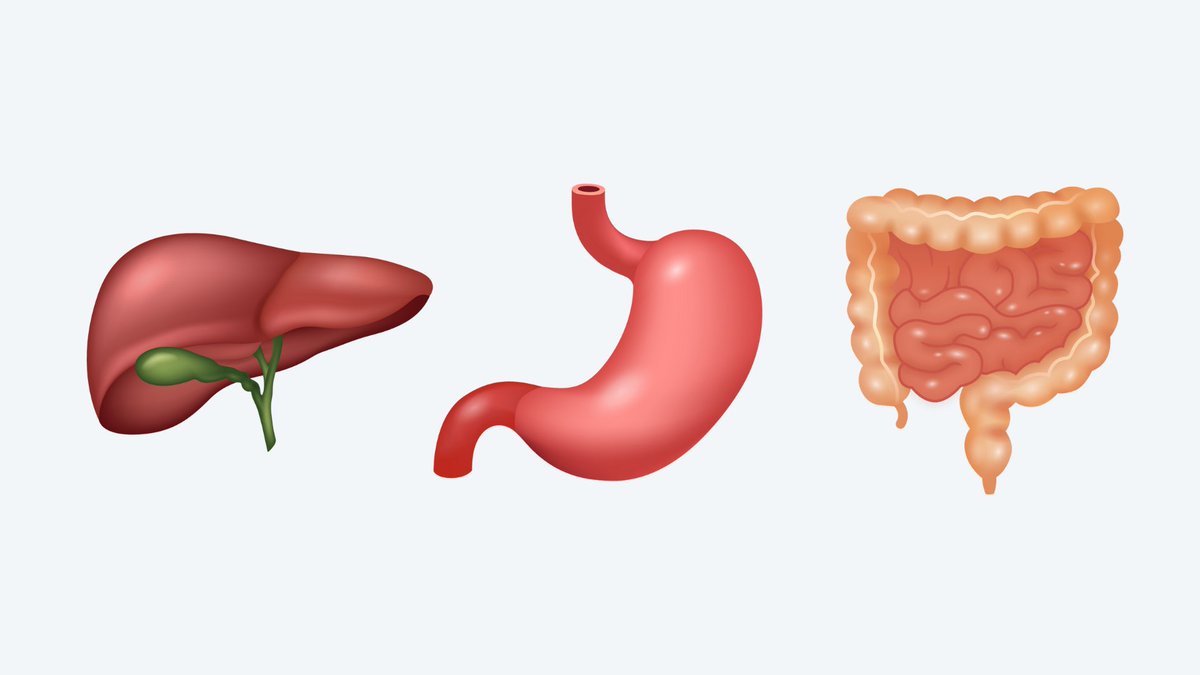🚨 Join the #medicalemoji movement‼️ 

Check out the digestive system candidates &amp; help us advocate for the #liver #stomach &amp; #intestine #emoji:

1️⃣ Like &amp; share this post!
2️⃣ Comment w/ feedback &amp; suggestions for improvement!

@ShuhanHeMD <a href="/AustinChiangMD/">Austin Chiang, MD MPH FASGE FACG</a> <a href="/AASLDtweets/">AASLD</a> <a href="/InadomiJ/">John Inadomi</a>