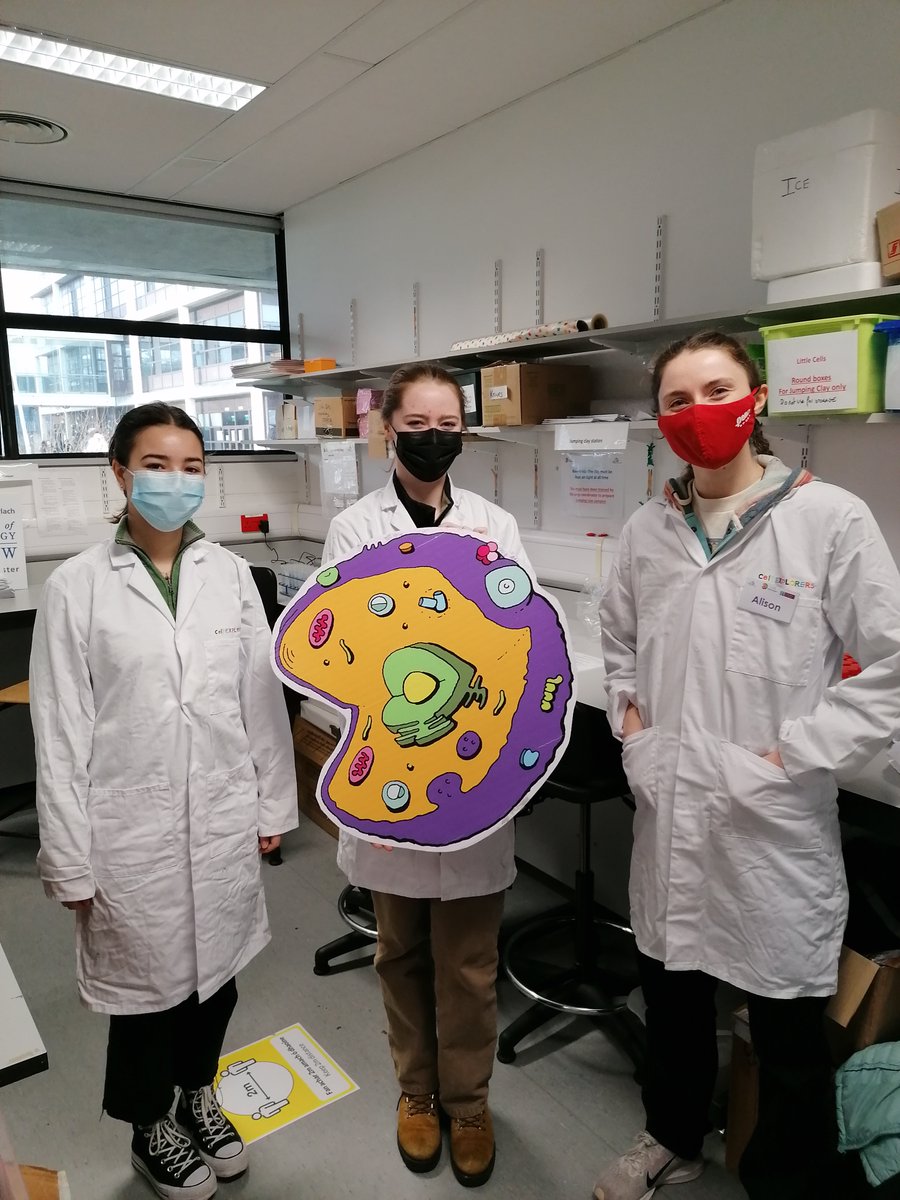 Cellexplorers's tweet photo. Some of our #Science #RoleModels NUIG volunteers Fia, Kate, Alison &amp; Ciara were busy this morning prepping reagents to go into #FantasticDNAInABox kits. Great example of #TeamWork -  very important in the life of a scientist! #BelieveInScience https://t.co/20BkfPxdqr