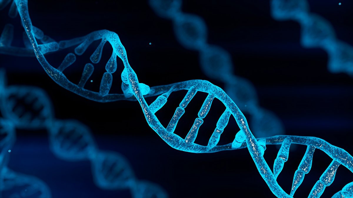 Cambridge_PACE's tweet photo. Our introduction to human genetics and genomics module covers the fundamentals of key areas, ideal for those looking to advance their career in the NHS or further their studies in genomic medicine. HEE funding available for eligible applicants.

Apply now: https://t.co/Nf0IVUVbyV https://t.co/qH2gOsBqQX