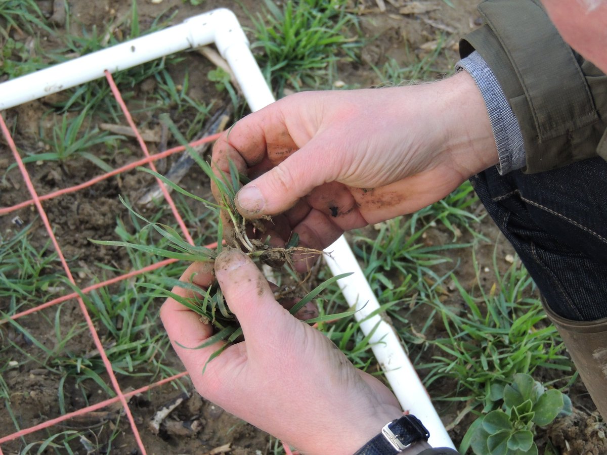 We’re celebrating #InnovativeFarmers turning 10 this year! 🎊

Learn about what the future holds for the project, what their #fieldlabs have revealed and why #farmtrials are crucial to creating a more #sustainable food and farming system: soilassociation.co/3KXwwyH