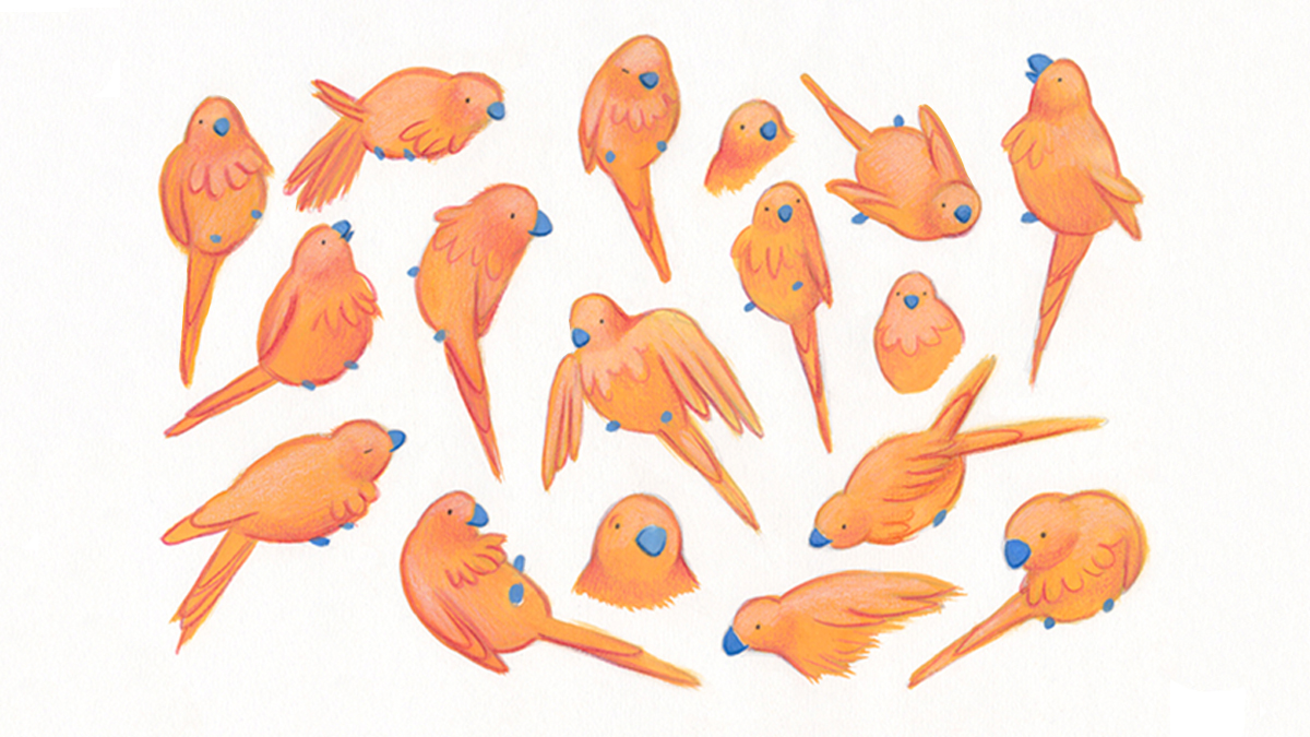 Carina Roberts tweet media