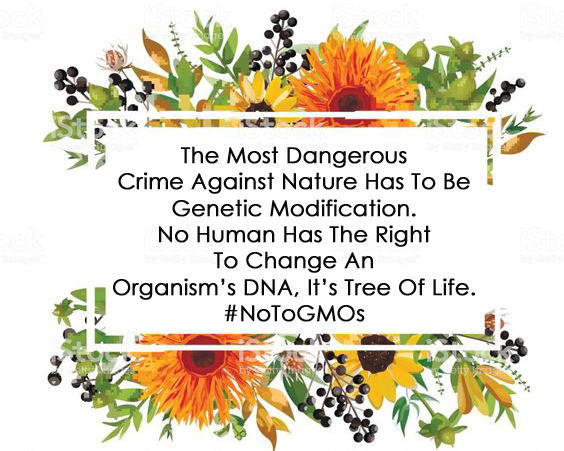 The Most Dangerous
Crime Against Nature Has To Be
Genetic Modification.
No Human Has The Right
To Change An
Organism’s DNA, It’s Tree Of Life.
#NatureNotNano 
No to #GMO