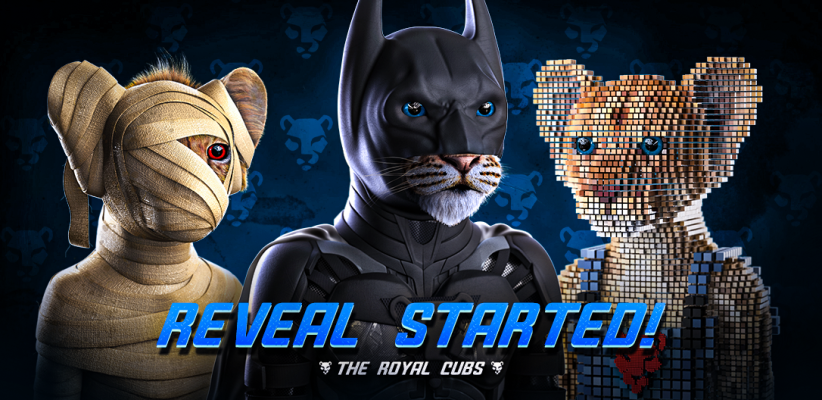The Royal Cubs tweet media