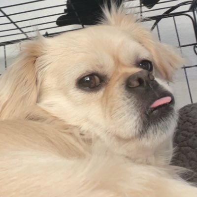 chillaryyy's tweet photo. #NewProfilePic https://t.co/Gy8PxJHr7O