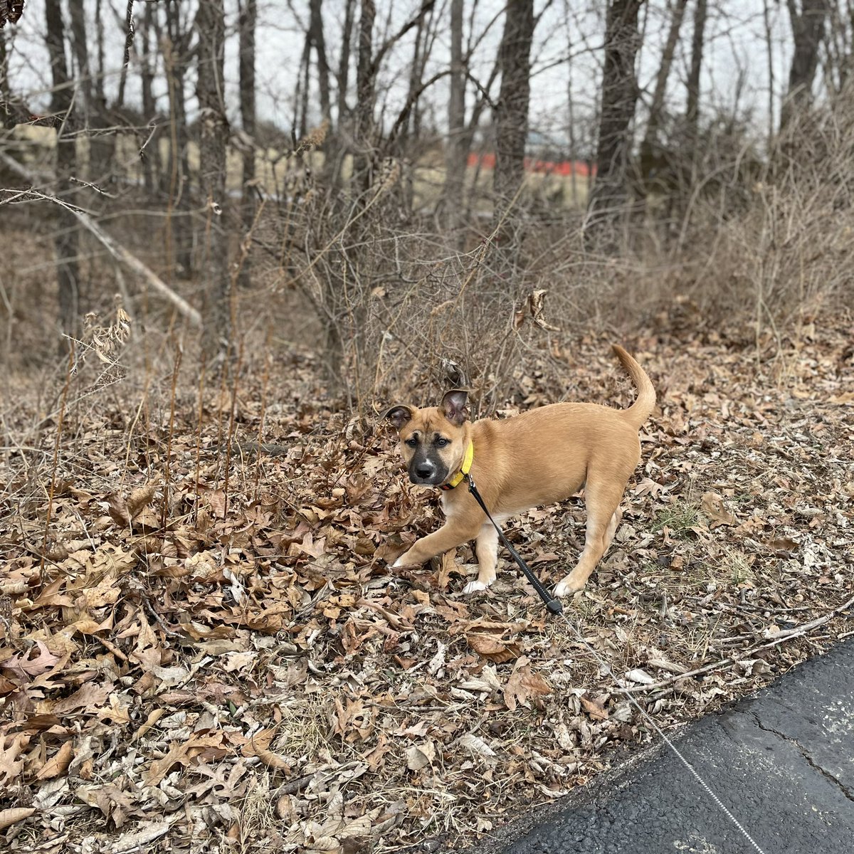 Emily Kolar tweet media