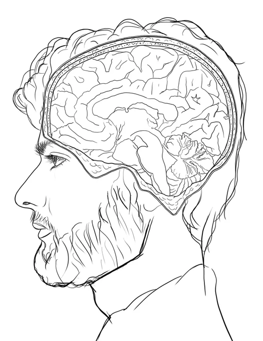 A sketch of a new project I'm working on of the brain 🧠 