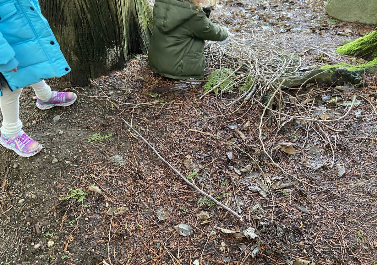 Pinewood Kinders tweet media