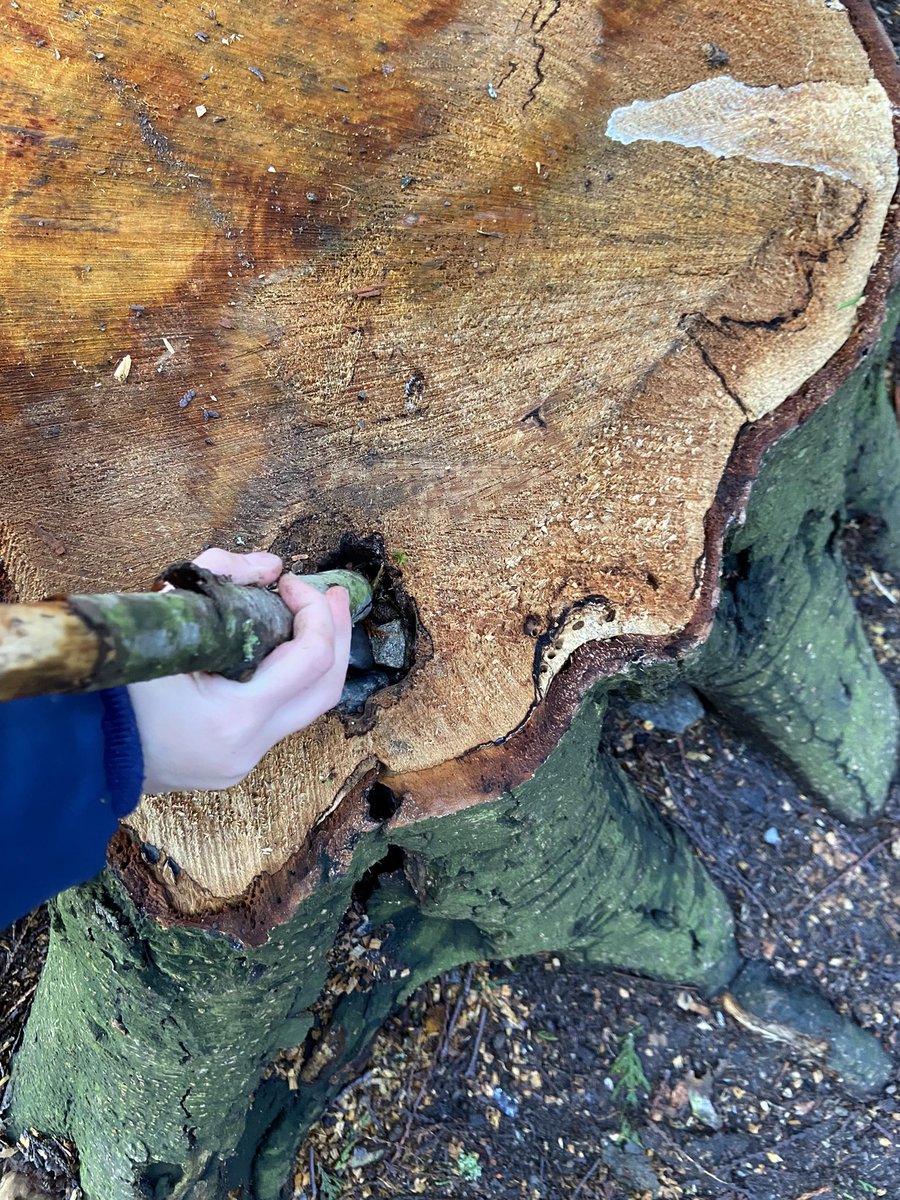 Pinewood Kinders tweet media