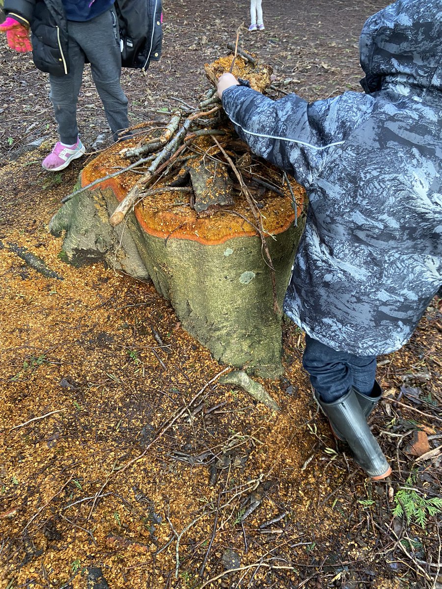 Pinewood Kinders tweet media