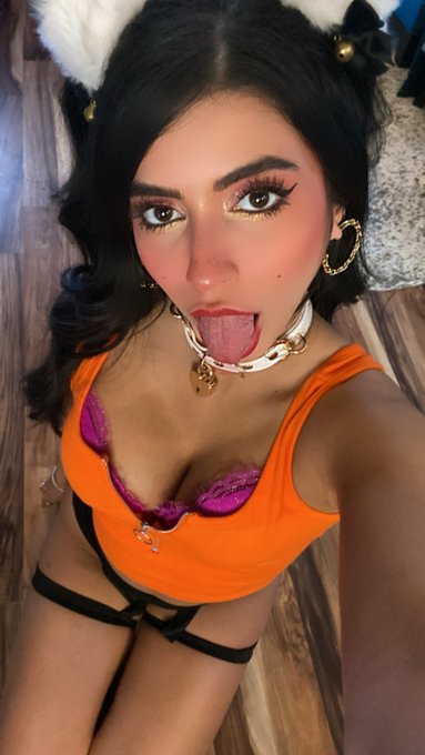 Come find me meow. https://t.co/rZHgB8pAFC https://t.co/VeAWsCUGL1<a href="/tag/pokemon"class="tags"><span>#pokemon</span></a><a href="/tag/pokemonshiningpearl"class="tags"><span>#pokemonshiningpearl</span></a><a href="/tag/pokemonbrillia"class="tags"><span>#pokemonbrillia</span></a>