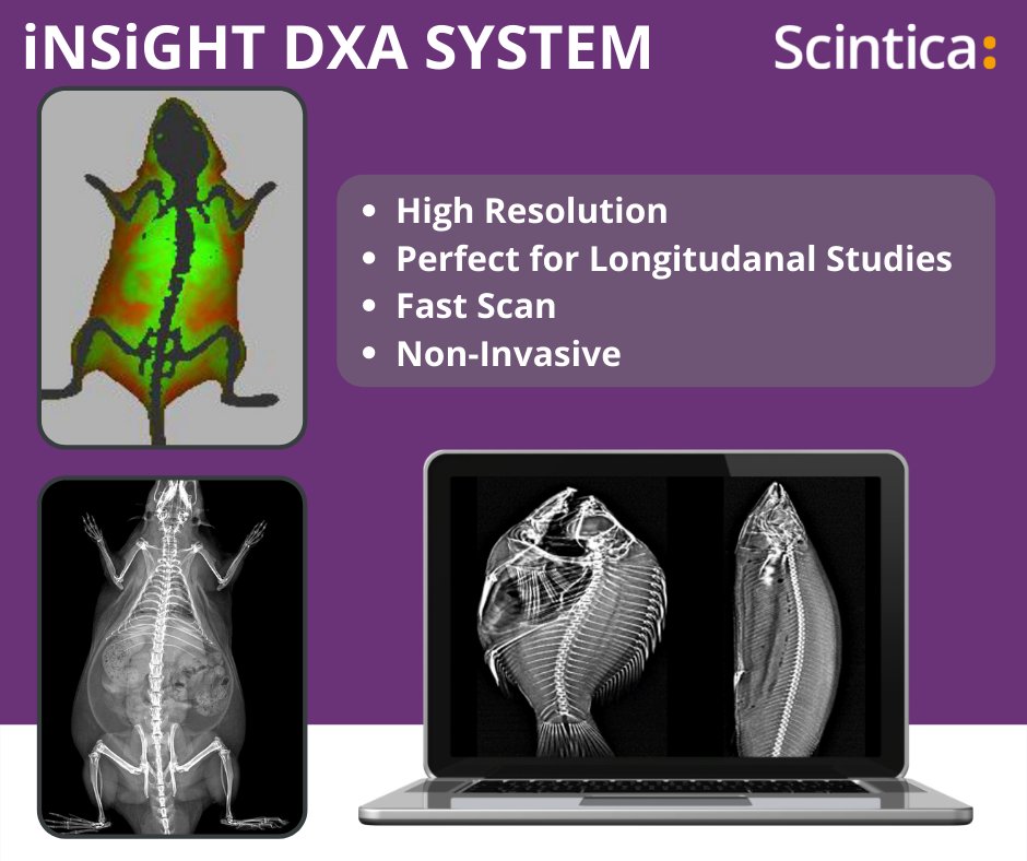 ScinticaInst's tweet photo. The iNSiGHT DXA System is ideal for following the same animal throughout a longitudinal study. Measurements of #bodycomposition are taken quickly, are non-invasive and use a very low-dose of radiation.

Learn more: https://t.co/Xt5o2lMCbY

#Science #Preclinical #Biotech #research https://t.co/p8e4jEpJh9