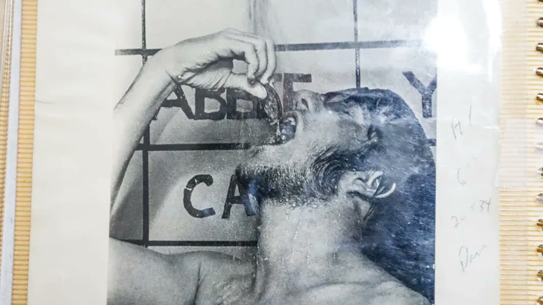 IU Alumni Association tweet media